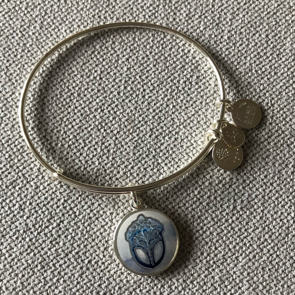 Alex and Ani Unexpected Miracles Blue and Silver Charm Bangle Bracelet
